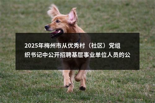 2025年梅州市从优秀村（社区）党组织书记中公开招聘基层事业单位人员的公告 图片