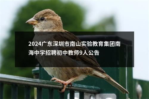 2024广东深圳市南山实验教育集团南海中学招聘初中教师9人公告 图片