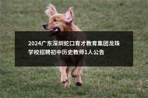 2024广东深圳蛇口育才教育集团龙珠学校招聘初中历史教师1人公告 图片
