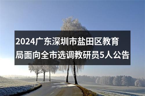 2024广东深圳市盐田区教育局面向全市选调教研员5人公告 图片