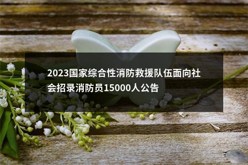 2023国家综合性消防救援队伍面向社会招录消防员15000人公告 图片