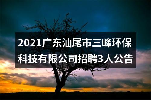 2021广东汕尾市三峰环保科技有限公司招聘3人公告 图片