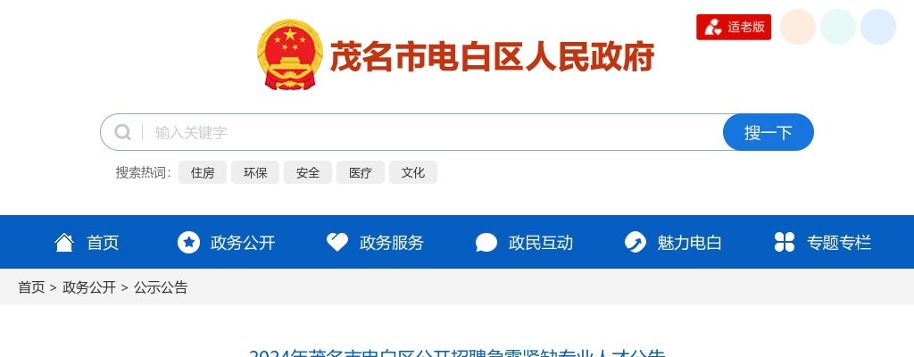 2024广东茂名市电白区招聘急需紧缺专业人才60人公告（医疗岗20人） 图片